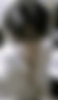 김상훈